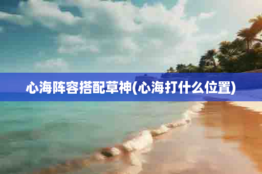 心海阵容搭配草神(心海打什么位置)