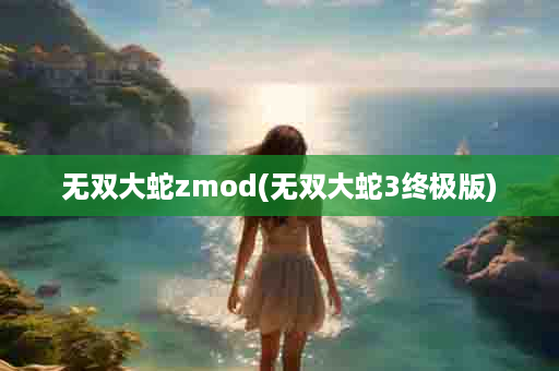 无双大蛇zmod(无双大蛇3终极版)