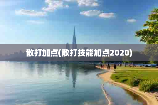 散打加点(散打技能加点2020)