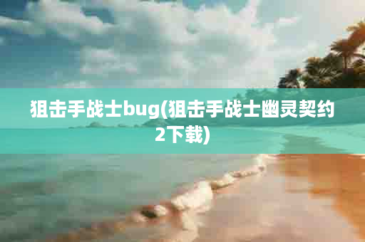 狙击手战士bug(狙击手战士幽灵契约2下载)