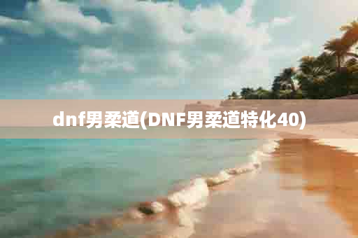 dnf男柔道(DNF男柔道特化40)