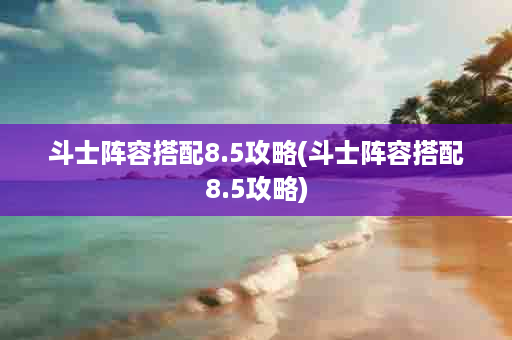 斗士阵容搭配8.5攻略(斗士阵容搭配8.5攻略)