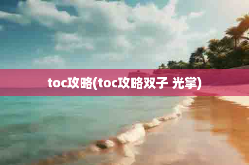 toc攻略(toc攻略双子 光掌)