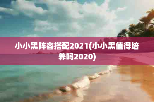 小小黑阵容搭配2021(小小黑值得培养吗2020)