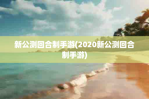 新公测回合制手游(2020新公测回合制手游)