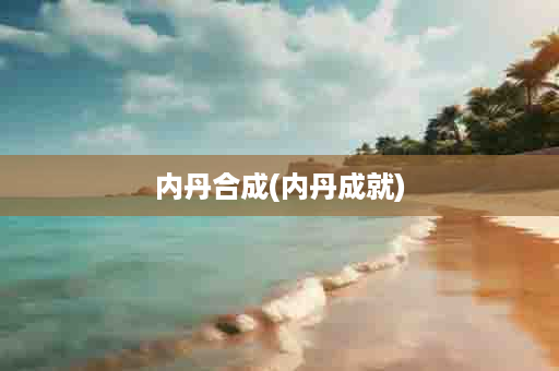 内丹合成(内丹成就)