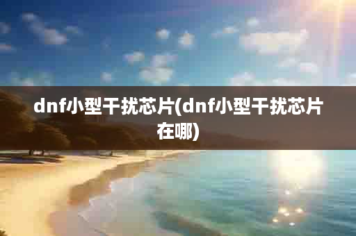 dnf小型干扰芯片(dnf小型干扰芯片在哪)