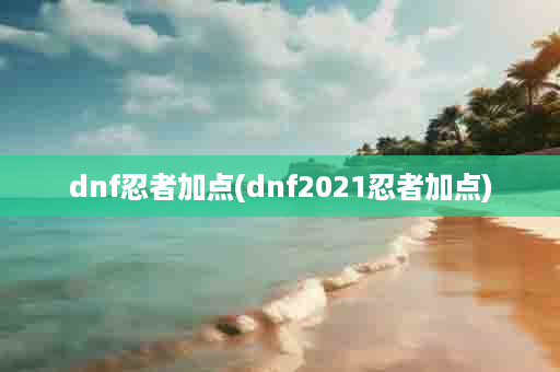 dnf忍者加点(dnf2021忍者加点)