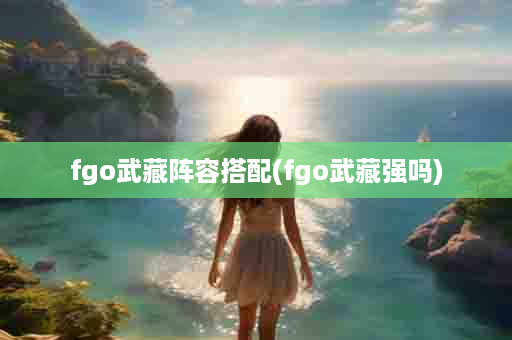 fgo武藏阵容搭配(fgo武藏强吗)