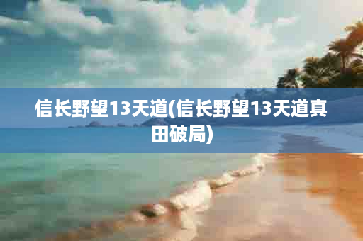 信长野望13天道(信长野望13天道真田破局)