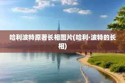 哈利波特原著长相图片(哈利·波特的长相)