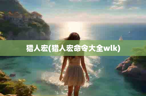 猎人宏(猎人宏命令大全wlk)